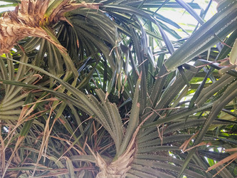 Similar image 21969482