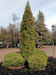 Similar image 21970219