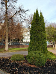 Similar image 21970220