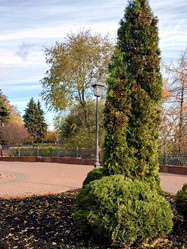 Similar image 21970221