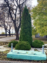 Similar image 21970222