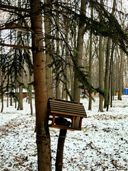 Similar image 21970227