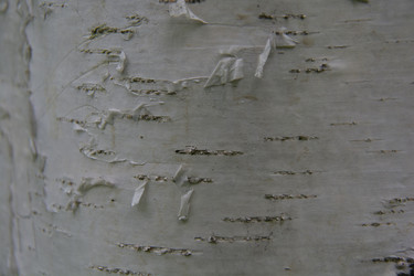 Similar image 21970907