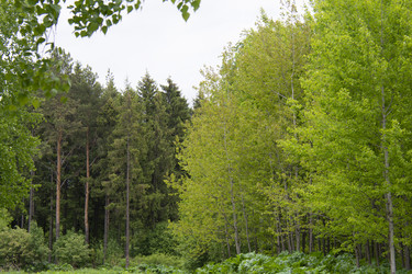 Similar image 21970910