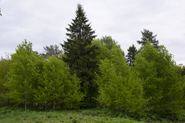 Similar image 21970911