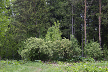 Similar image 21970912