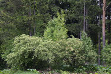 Similar image 21970913