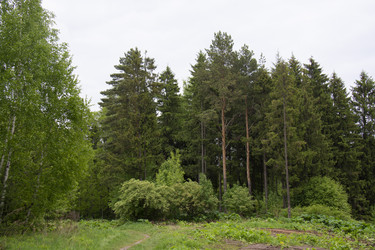 Similar image 21970914