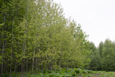 Similar image 21970915