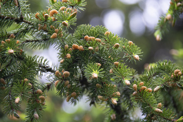 Similar image 21970917