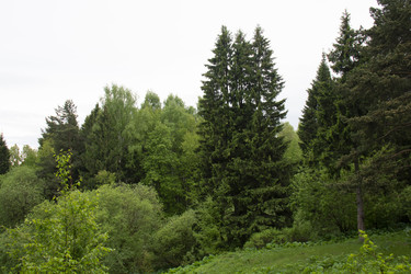 Similar image 21970919