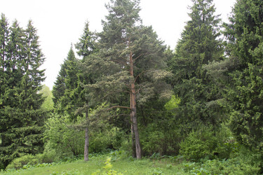 Similar image 21970920