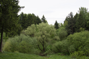 Similar image 21970921