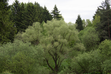 Similar image 21970922