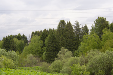 Similar image 21970924