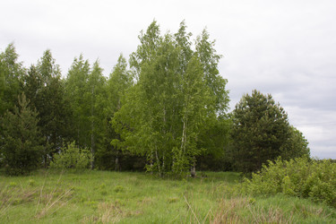 Similar image 21970926