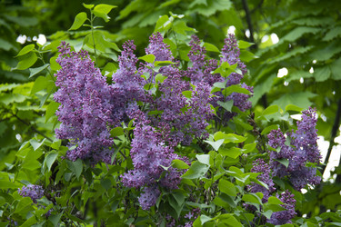 Similar image 21970927