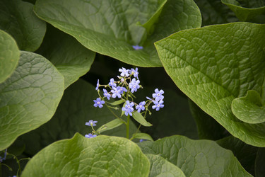 Similar image 21970928