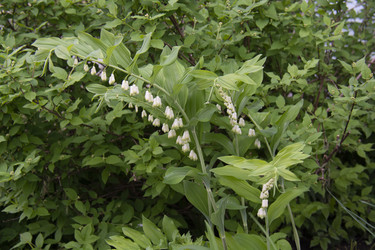 Similar image 21970930