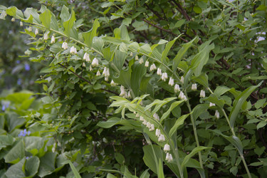 Similar image 21970931