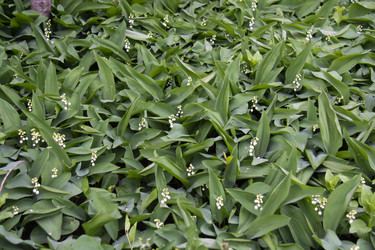 Similar image 21970933