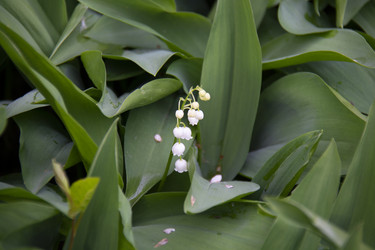 Similar image 21970934