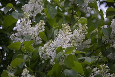 Similar image 21970935