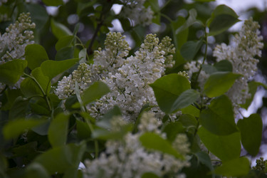 Similar image 21970936