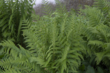 Similar image 21970937