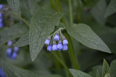 Similar image 21970938