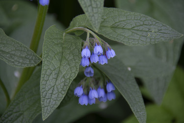 Similar image 21970939