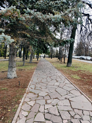 Similar image 21970248