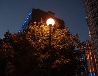 Similar image 21973183