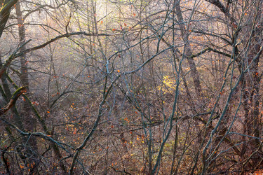 Similar image 21969329