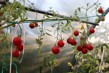 Similar image 21973184