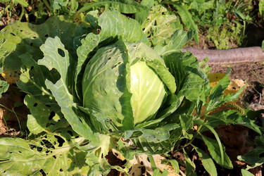 Similar image 21971219