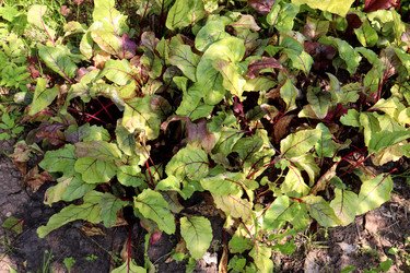 Similar image 21971220