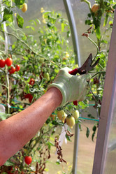 Similar image 21971221