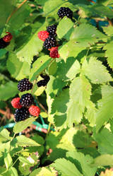 Similar image 21971223