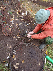 Similar image 21971227