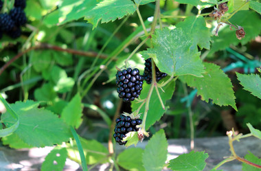 Similar image 21971228