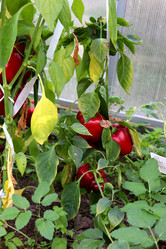 Similar image 21971229