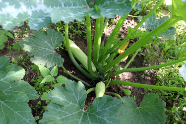 Similar image 21971233