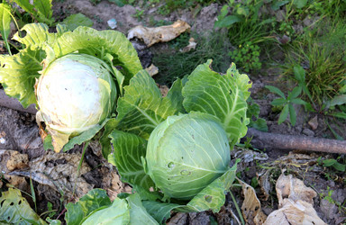 Similar image 21971234