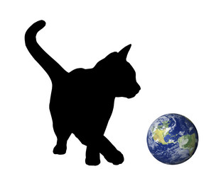 Similar image 21969485