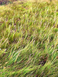 Similar image 21970255