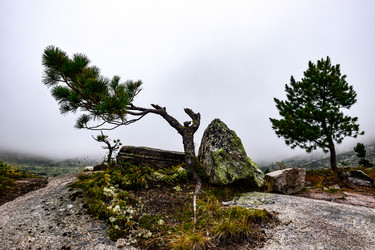 Similar image 21970039