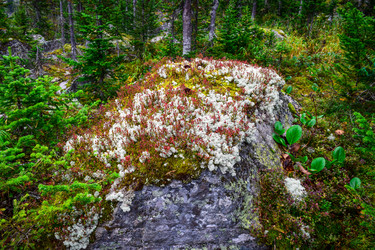 Similar image 21970040