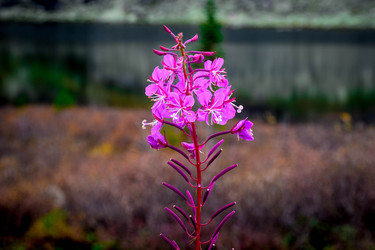 Similar image 21970093