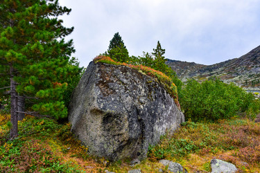 Similar image 21970094